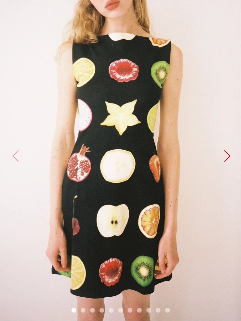 Lisa Says Gah x Tyler McGillivary Dottie Dress Fruit Slice NWT XL - Picture 4 of 6
